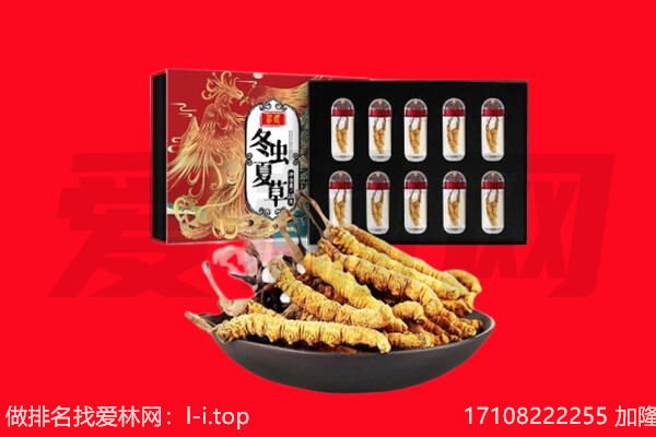 建瓯市回收虫草.jpg